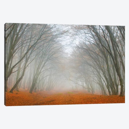 Let's Never Stop Falling In Love Canvas Print #BOR31} by Adrian Borda Canvas Wall Art