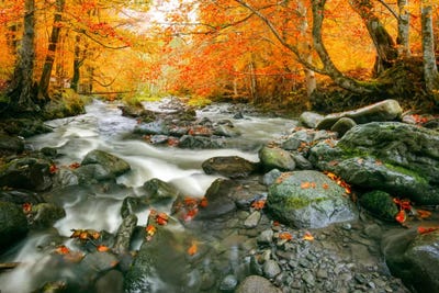 Rushing To The Ocean by Adrian Borda framed canvas print