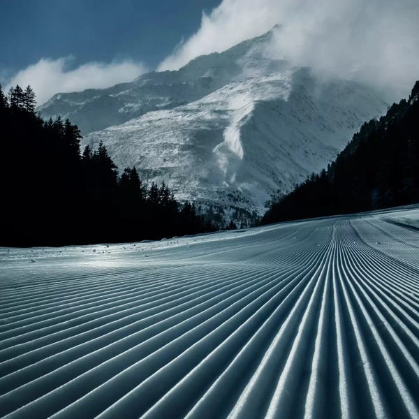 Snowy Mountains: Ski Tracks by Adrian Borda