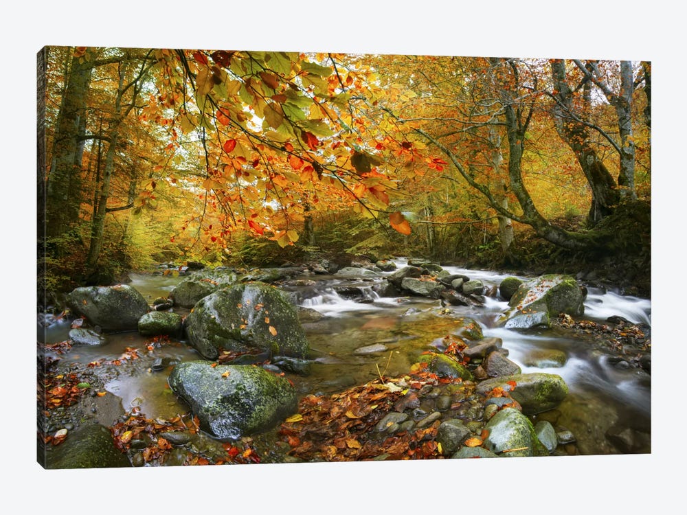 The Rusty River 1-piece Canvas Print