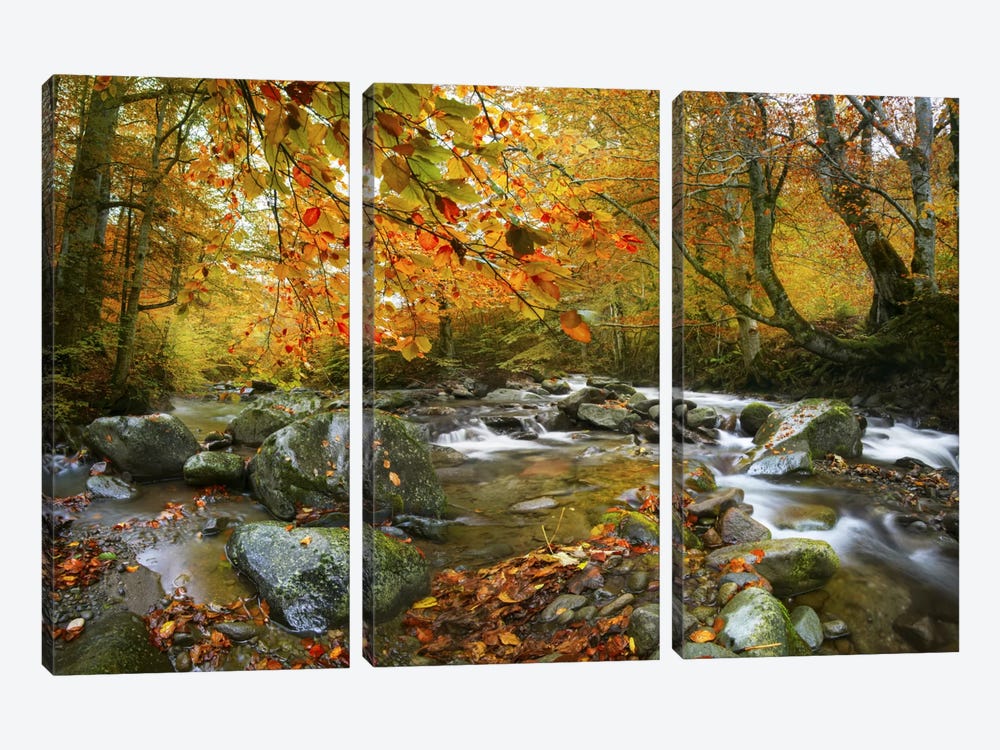 The Rusty River 3-piece Canvas Print