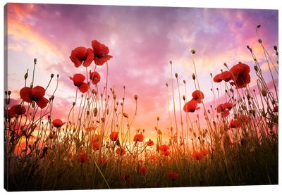 As Above So Below Canvas Art Print - Sunrises & Sunsets Scenic Photography