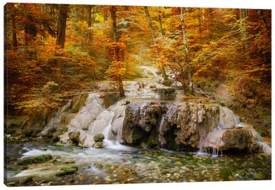 Autumn Mood Canvas Art Print - Wilderness Art