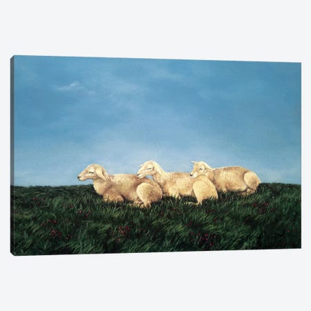 Counting Sheep Canvas Print #BOT14} by Sandra Bottinelli Canvas Print