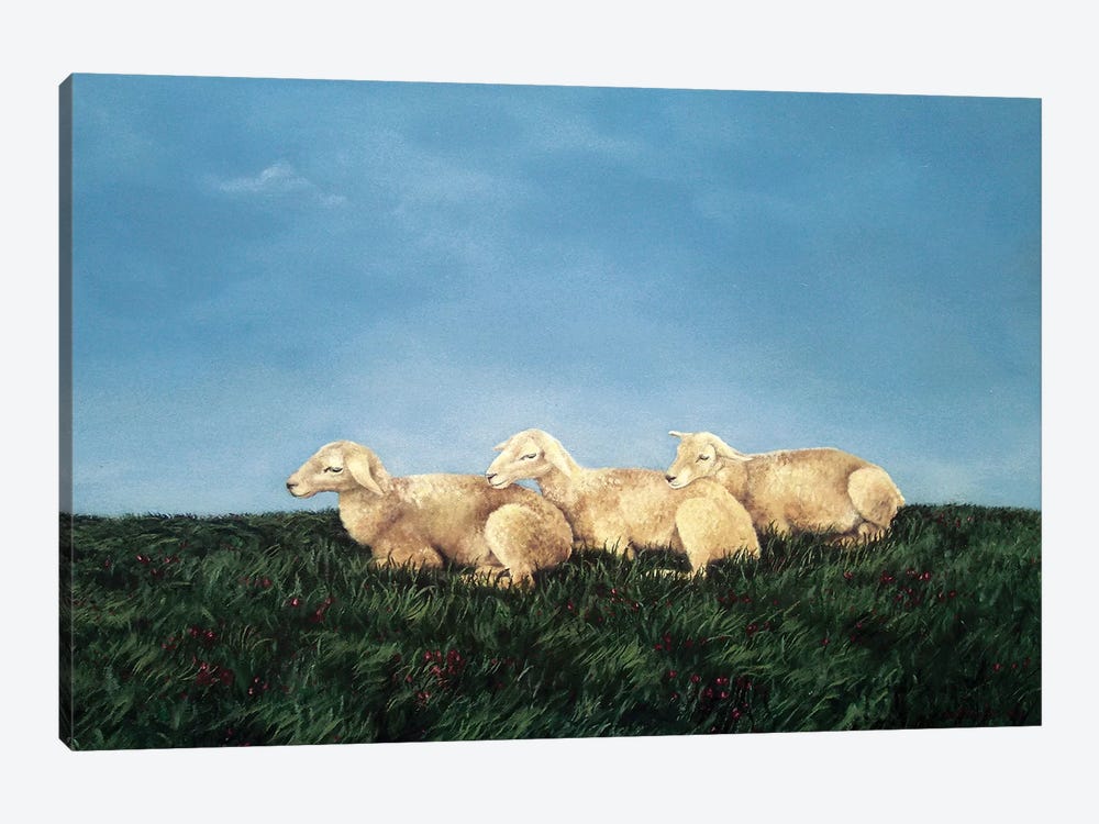 Counting Sheep by Sandra Bottinelli 1-piece Canvas Wall Art