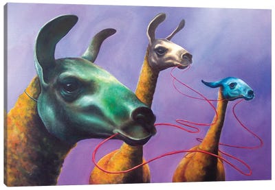Lifeline Canvas Art Print - Llama & Alpaca Art
