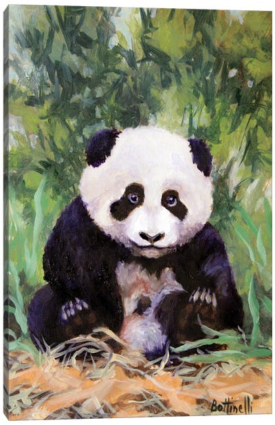 Panda Cub Canvas Art Print - Panda Art