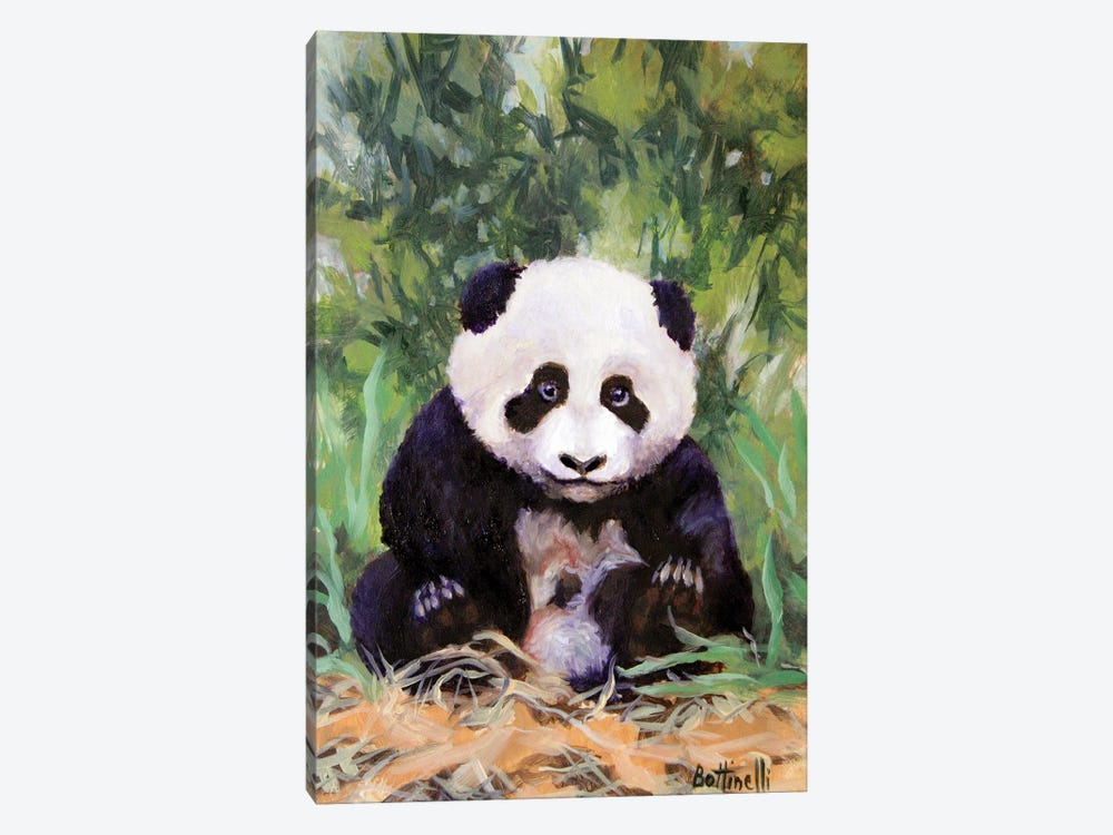 Panda Cub by Sandra Bottinelli 1-piece Canvas Artwork