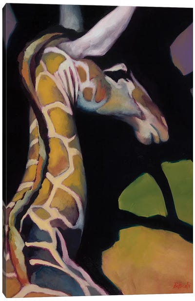 Portrait Of A Giraffe Canvas Art Print - Giraffe Art