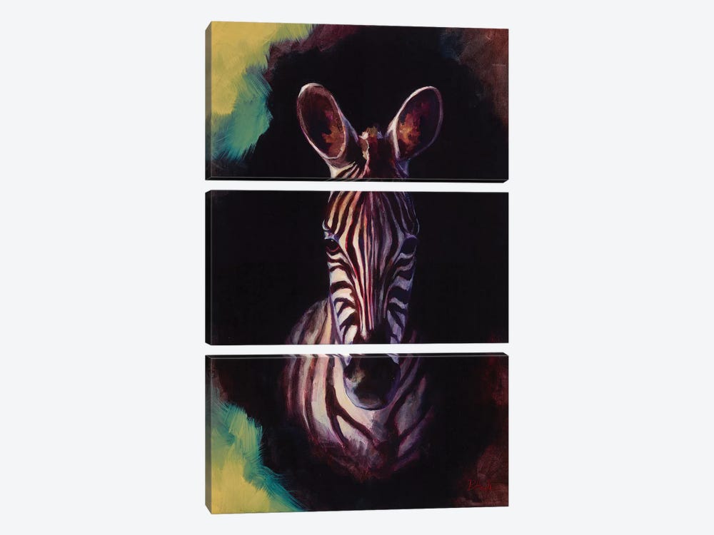 Portrait Of A Zebra by Sandra Bottinelli 3-piece Canvas Art Print