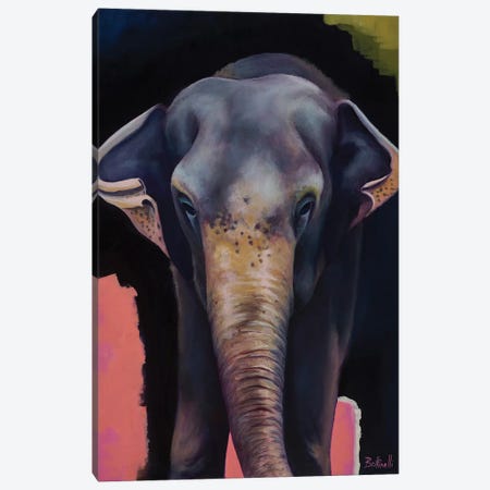 Portrait Of An Elephant Canvas Print #BOT34} by Sandra Bottinelli Canvas Print