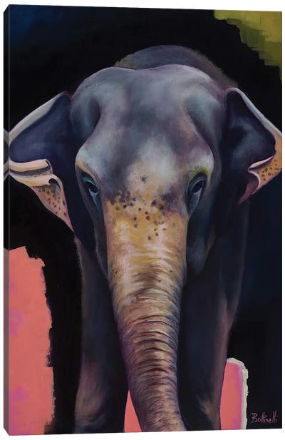 Portrait Of An Elephant Canvas Art Print - Sandra Bottinelli