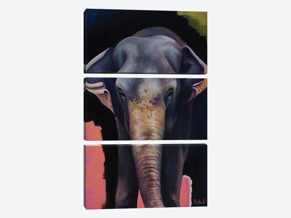 Portrait Of An Elephant by Sandra Bottinelli 3-piece Canvas Wall Art