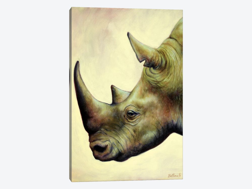 The Rhino by Sandra Bottinelli 1-piece Canvas Wall Art
