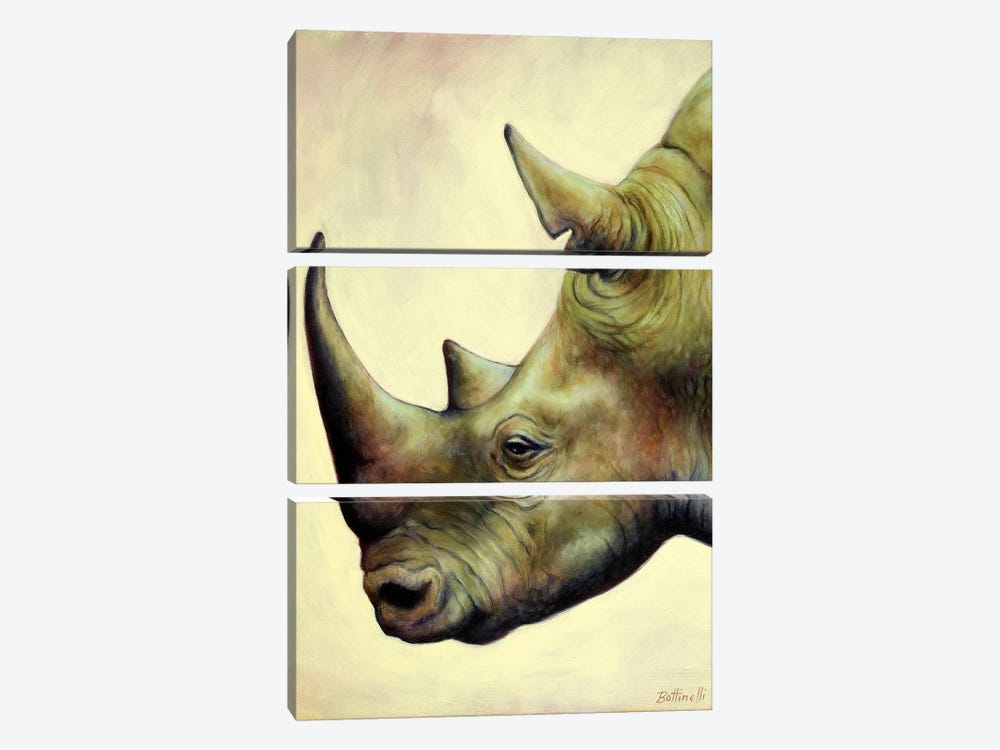 The Rhino by Sandra Bottinelli 3-piece Canvas Art
