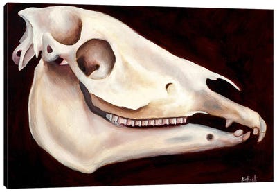Horse Head II Canvas Art Print - Sandra Bottinelli