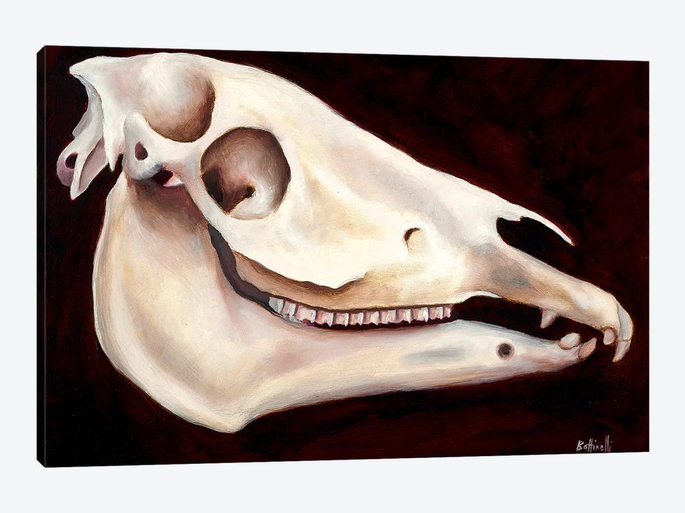 Horse Head II by Sandra Bottinelli 1-piece Canvas Print