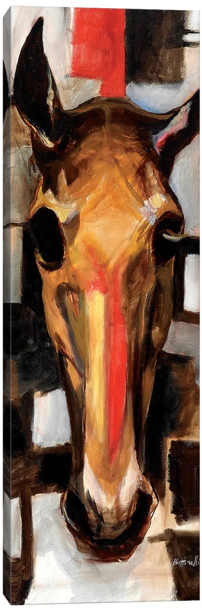 Racehorse Canvas Art Print - Sandra Bottinelli