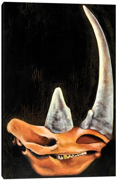Rhino Skull Canvas Art Print - Rhinoceros Art