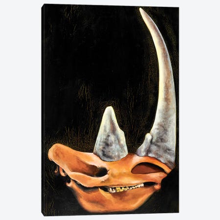 Rhino Skull Canvas Print #BOT69} by Sandra Bottinelli Canvas Print