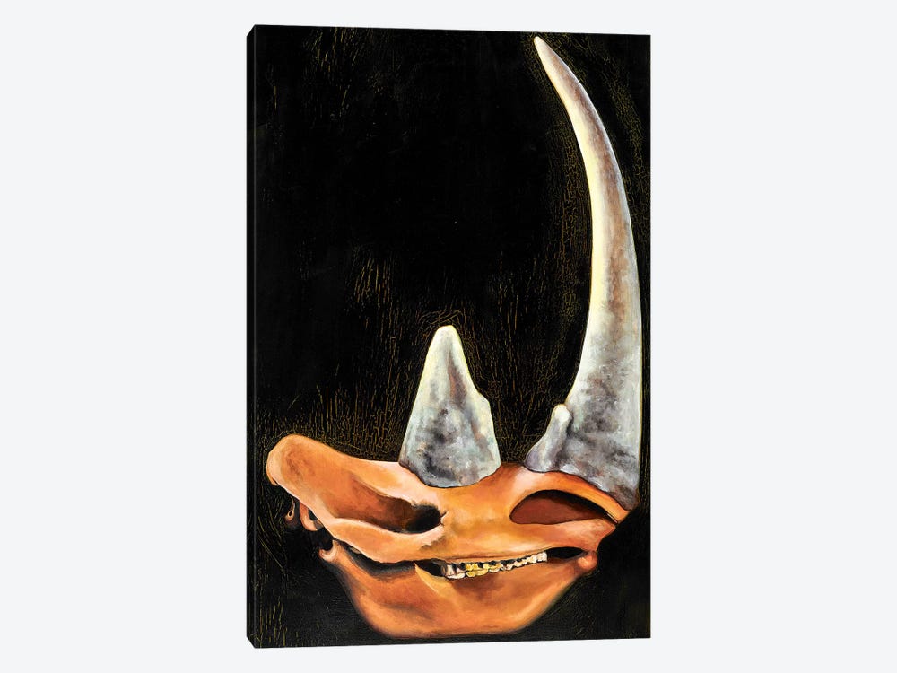 Rhino Skull by Sandra Bottinelli 1-piece Canvas Artwork