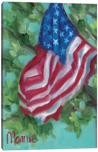 In The Breeze Canvas Art Print - American Flag Art