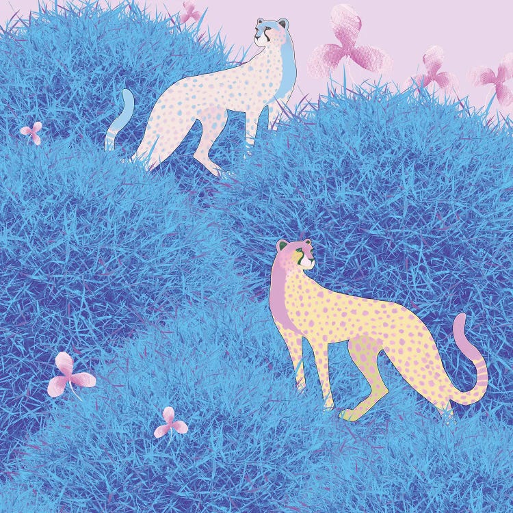 Dream World