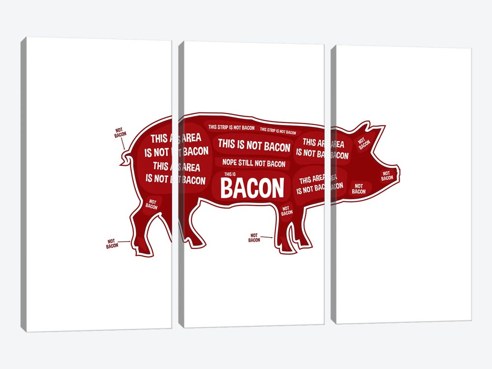 Not Bacon - Pig by Benton Park Prints 3-piece Canvas Artwork