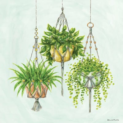 Macrame House Plants by Bella Pilar art print