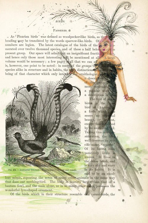 Liza Admires The Feathers Of The Lyre Bird by Bella Pilar wall art