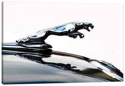 Jaguar hood ornament Canvas Art Print - Clive Branson