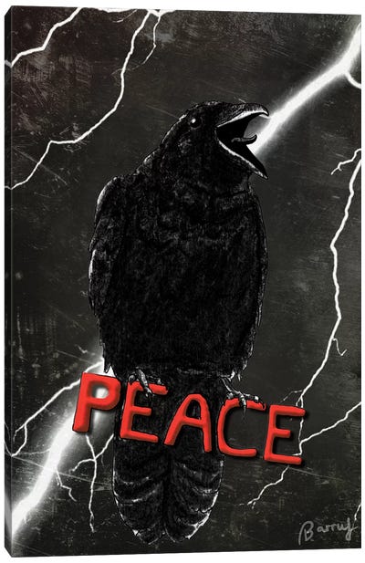 Crow For Peace Canvas Art Print - Barruf