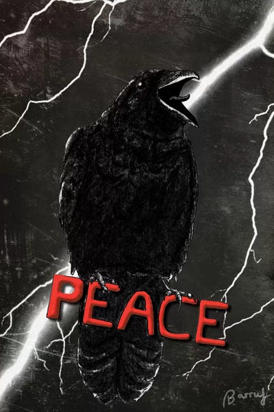 Barruf: Crow For Peace by Barruf