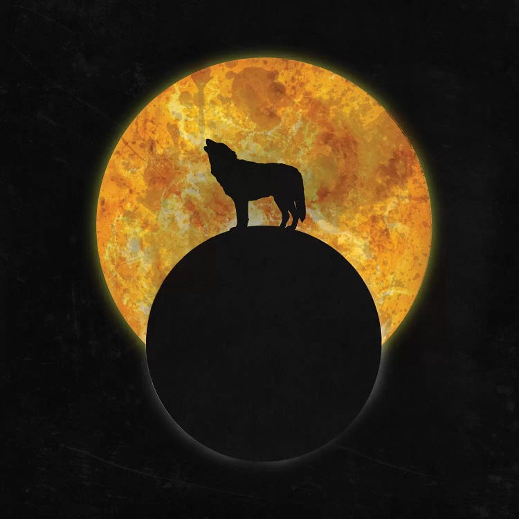 Wolf On The Moon by Barruf wall art