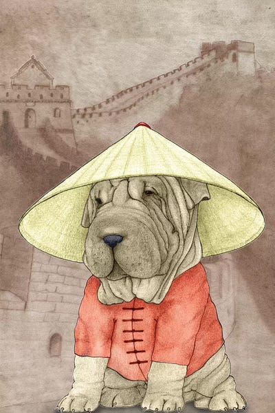 Staircases: Shar Pei With The Great Wall by Barruf