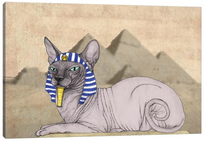 Sphynx Cat With The Pyramids Of Giza Canvas Art Print - Witty Humor Art