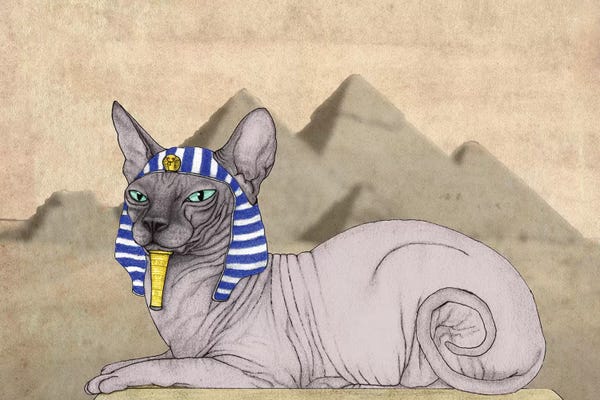 Giza: Sphynx Cat With The Pyramids Of Giza by Barruf