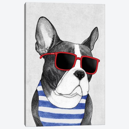Frenchie - Summer Style Canvas Print #BRF19} by Barruf Canvas Art