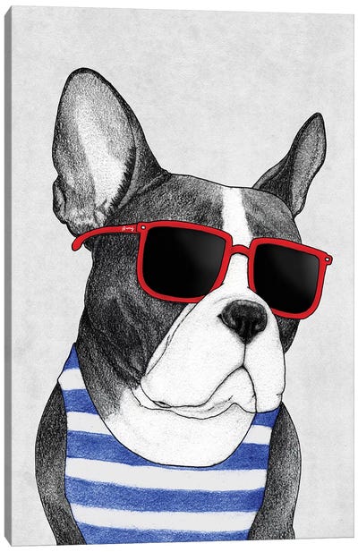 Frenchie - Summer Style Canvas Art Print - Barruf