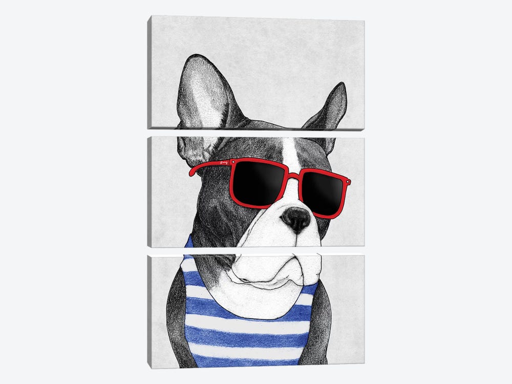 Frenchie - Summer Style by Barruf 3-piece Canvas Art