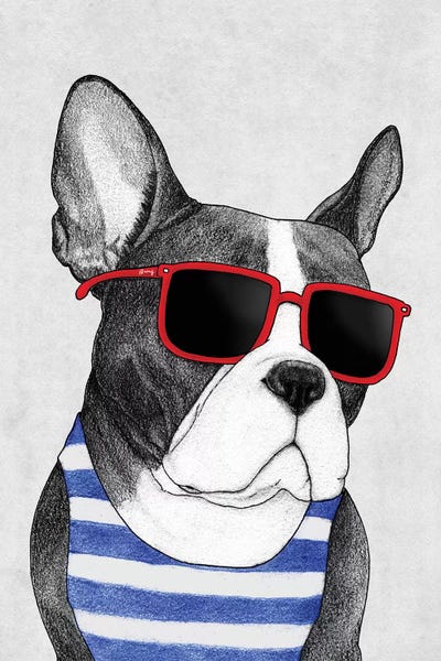 French Bulldogs: Frenchie - Summer Style by Barruf