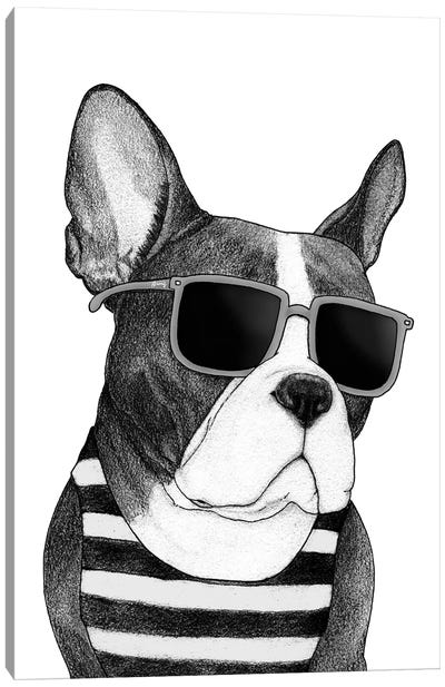 Frenchie - Summer Style In B&W Canvas Art Print - French Bulldog Art