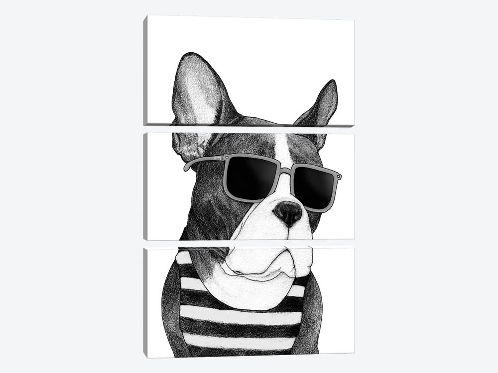 Frenchie - Summer Style In B&W by Barruf 3-piece Canvas Wall Art