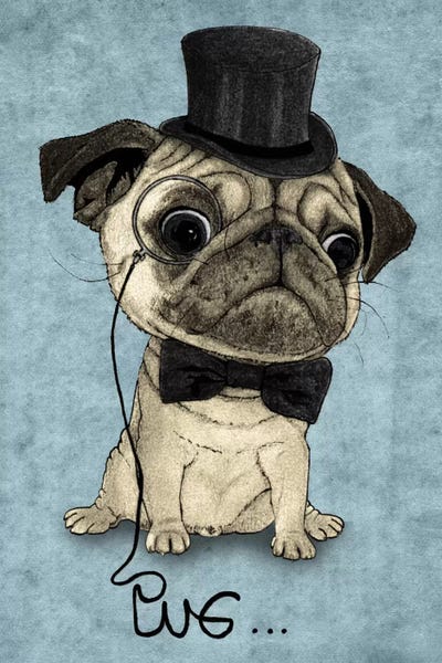 Pugs: Gentle Pug by Barruf