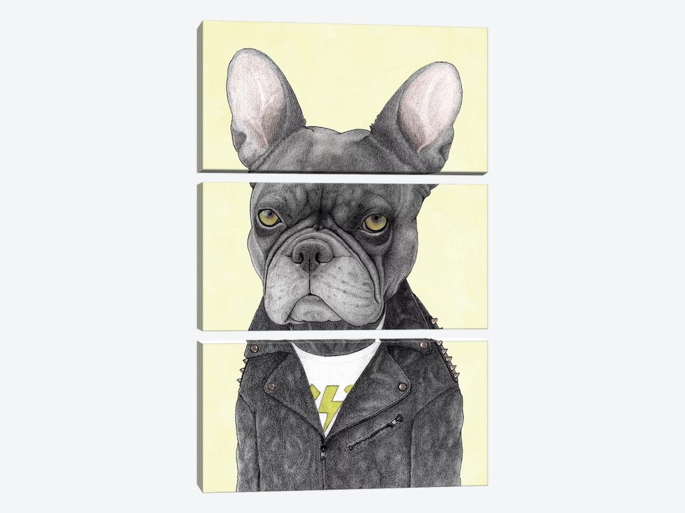 Hard Rock French Bulldog by Barruf 3-piece Canvas Art Print