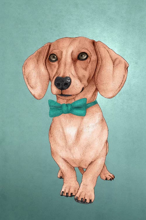 The Wiener Dog by Barruf wall art