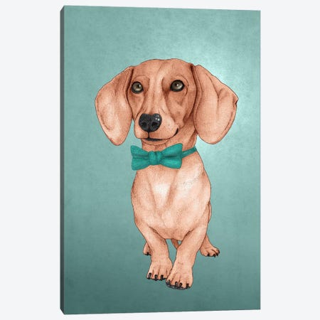 The Wiener Dog Canvas Print #BRF3} by Barruf Canvas Art