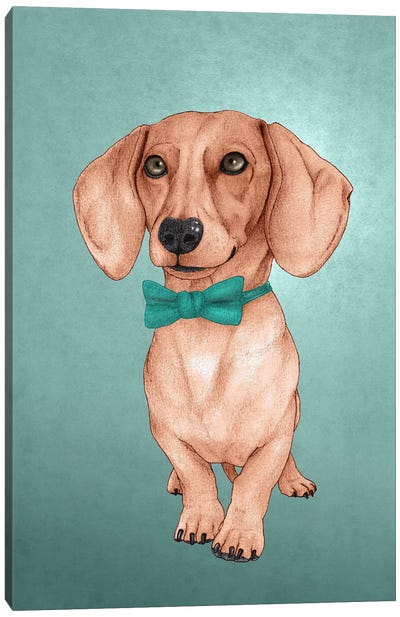 The Wiener Dog Canvas Art Print - Barruf