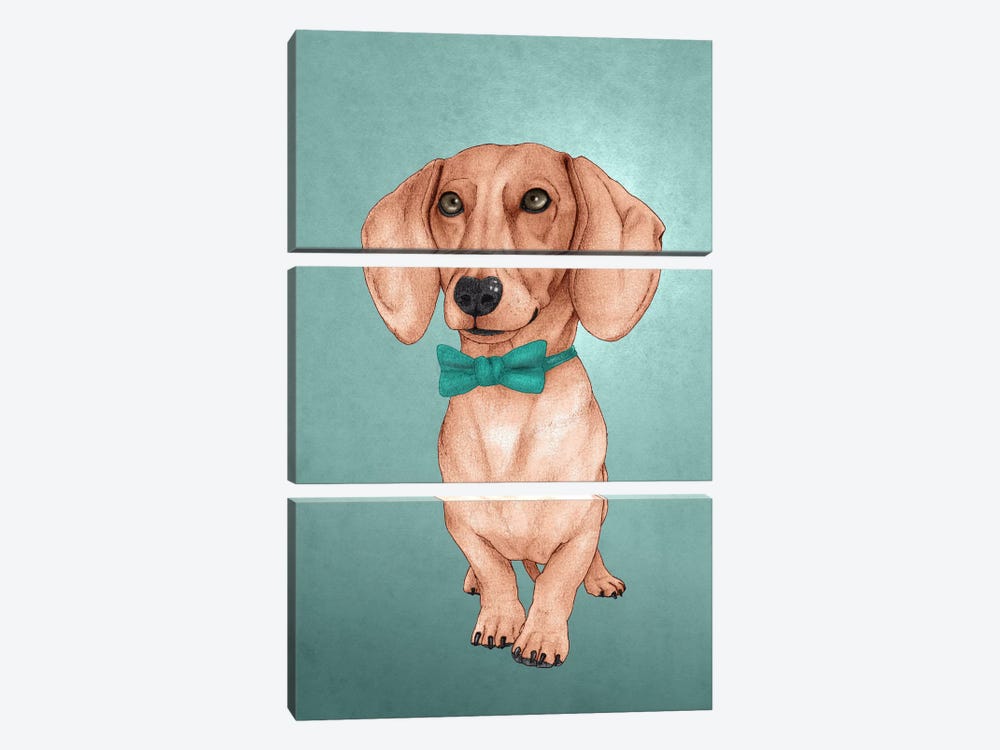 The Wiener Dog by Barruf 3-piece Canvas Art