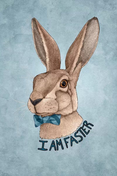 Barruf: Mr. Hare Is Faster by Barruf